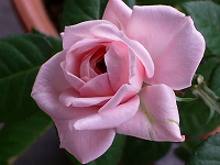 2005-12-12 13:01:35
