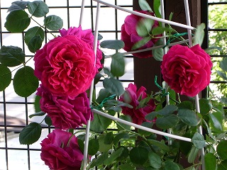 2005-12-06 14:28:42