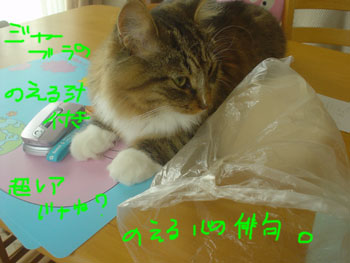 くんくん