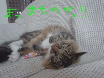 ま、魔物！
