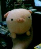 ぴーちゃん（仔豚のぬいぐるみ♪）