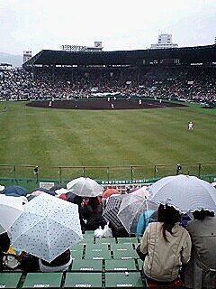 甲子園雨