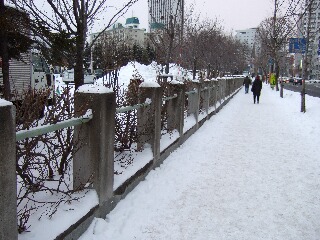 札幌市内