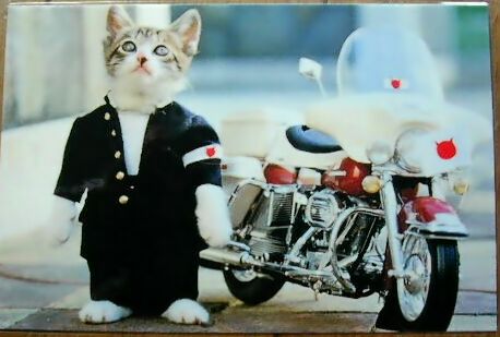 なめ猫バイク編