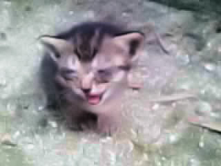目が見えないの。