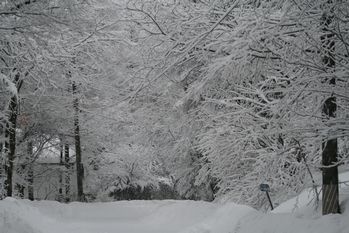 20110218雪景色.jpg