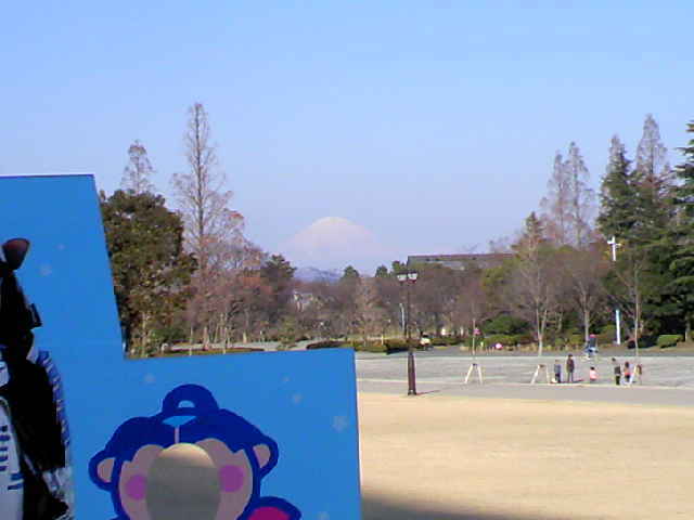 駿府公園から見える富士山