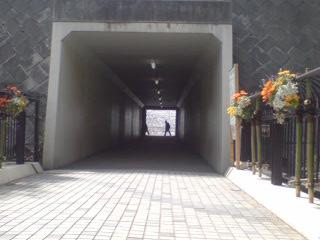都市緑化・トンネル 2008-04-15