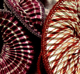 日替シュシュ袋のプリーツタイプ