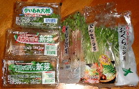 スプラウトセット１