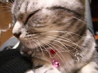 アップで撮らないで！