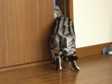 行ってきま～す。