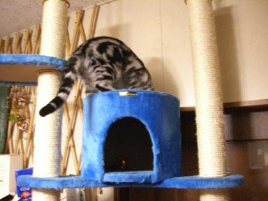 上にも穴が・・・