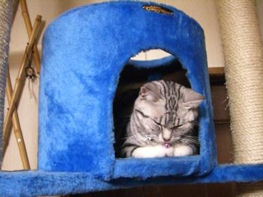 寝てる・・・？？