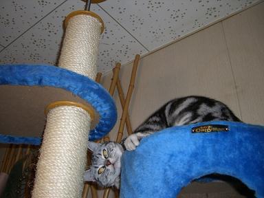 こんなことも出来るよ～