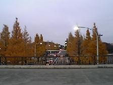 駒沢公園.jpg