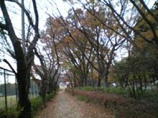 駒沢公園．.jpg