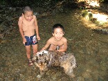 IMG_1185.JPG