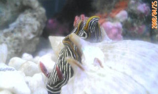 20080425192609.jpg