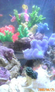 20080425194525.jpg