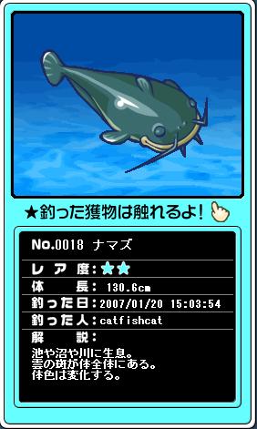 ナマズ.JPG