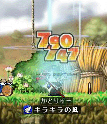 Maple0221のコピー.gif