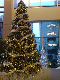 2008.12.24 serulean Xmas Present 01