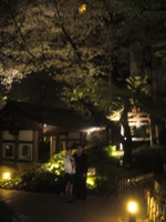 2009.4.12 sakuratawer 08