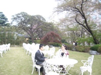 2009.4.12 sakuratawer 11