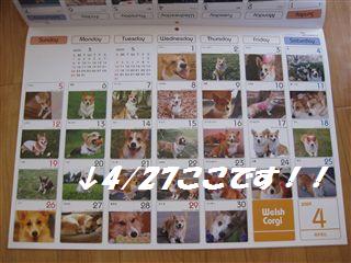 365_CALENDAR