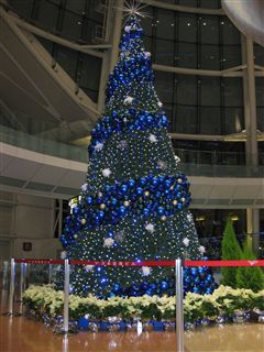 羽田空港のXmasツリー