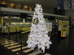 神戸空港のXmasツリー1