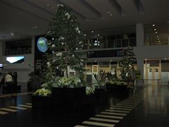 神戸空港のXmasツリー2