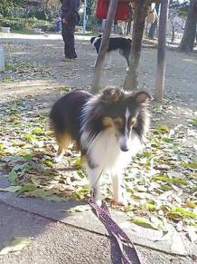 疲れた。。。