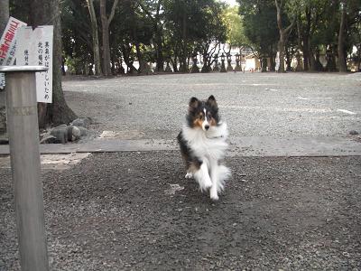 待って～。