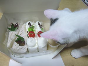風太とケーキ.jpg