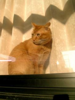 ちょっと寂しかった？