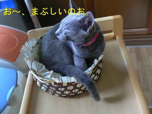 kago2