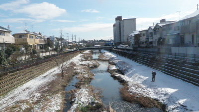 雪の野川