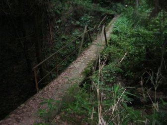葛城古道２