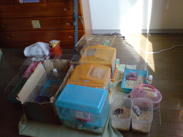 20070201103432.jpg