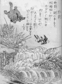 野衾.jpg