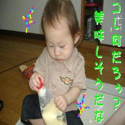 PHOTO035これ何だろう・・・.JPG