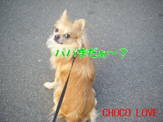 2009_01160040チョコ.jpg