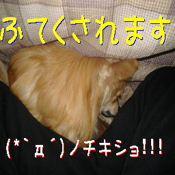 PHOTO134ふてくされてます・・・.JPG