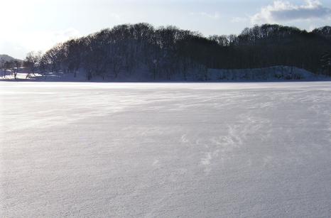 雪原の風.jpg