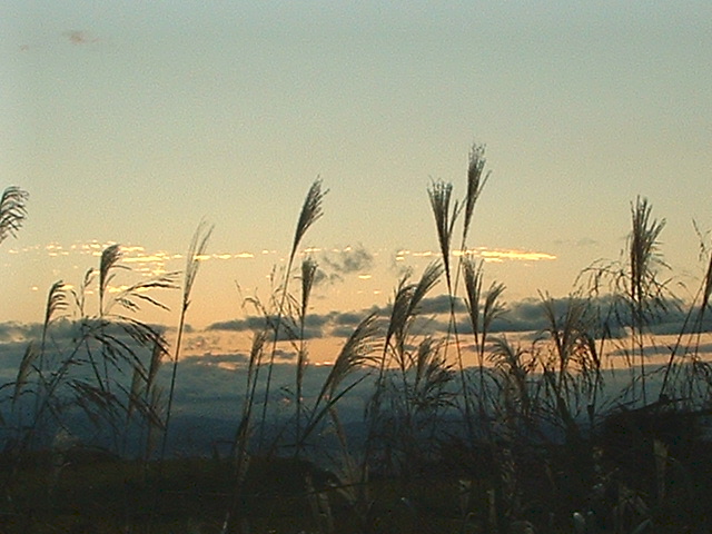 初秋の夕暮れ-3.jpg