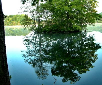 朝靄の曽原湖-2.jpg