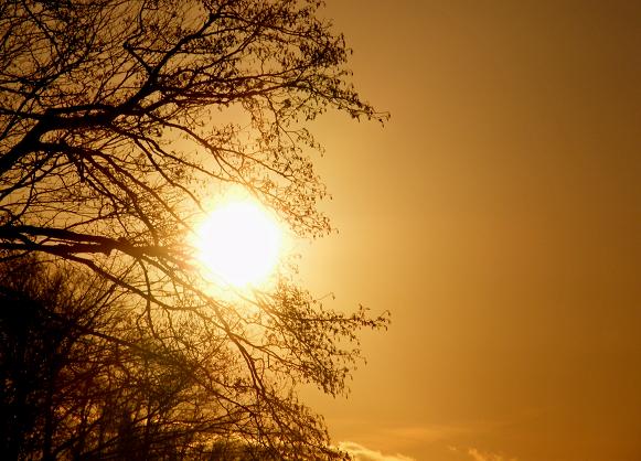 曽原湖の夕日.jpg