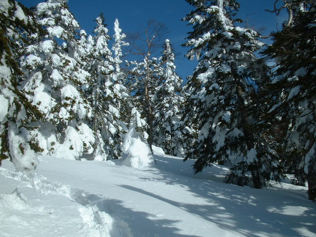 標高1700ｍ.jpg